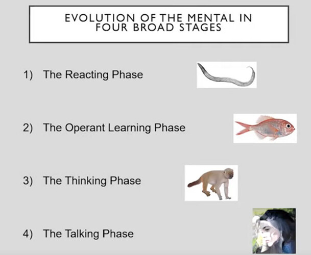 mental
